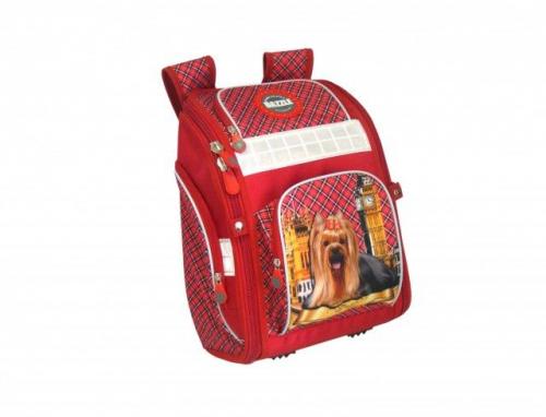 Школьный ранец Скат для девочек DAZZLE - Фабрика сумок «DAZZLE»